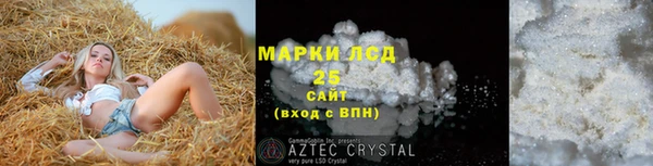 ПСИЛОЦИБИНОВЫЕ ГРИБЫ Вязники