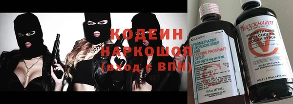молекула духа Вяземский