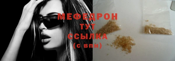 молекула духа Вяземский