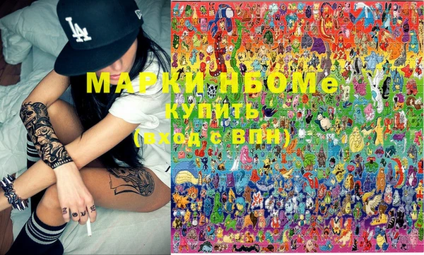 молекула духа Вяземский