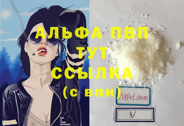 молекула духа Вяземский