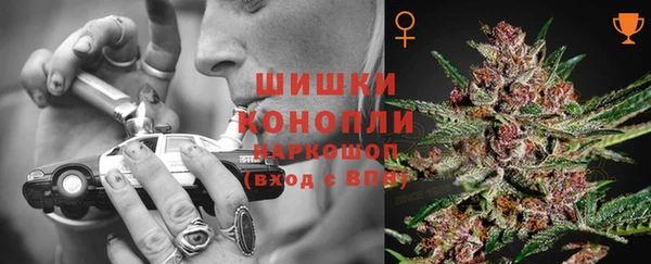 ПСИЛОЦИБИНОВЫЕ ГРИБЫ Вязники