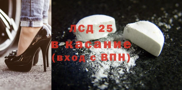 молекула духа Вяземский