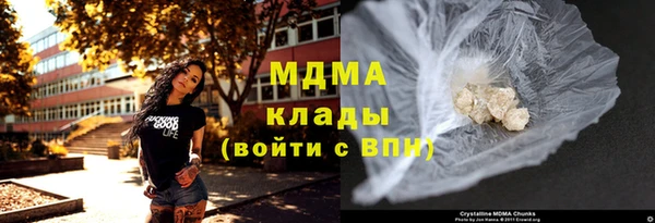 молекула духа Вяземский
