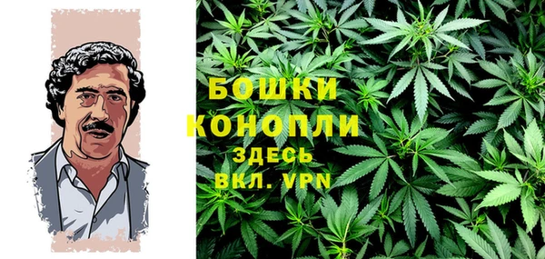 молекула духа Вяземский