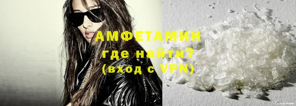 молекула духа Вяземский