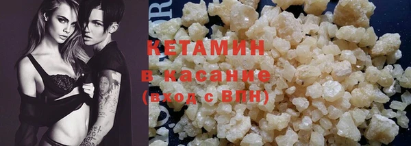молекула духа Вяземский