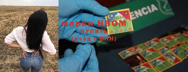 ПСИЛОЦИБИНОВЫЕ ГРИБЫ Вязники