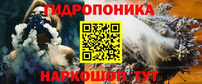 МДПВ Гатчина