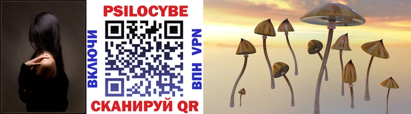 Псилоцибиновые грибы Cubensis Гуково