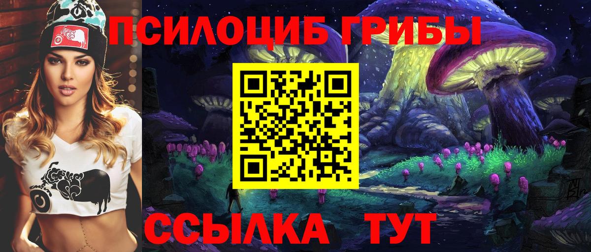 Псилоцибиновые грибы прущие грибы Гуково