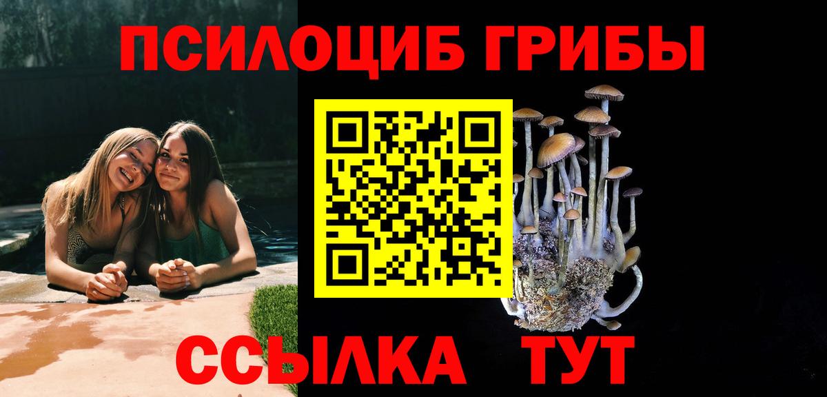 Галлюциногенные грибы MAGIC MUSHROOMS  купить наркоту  Гуково 